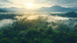 © tong2530 - Deforestation indigenous lands, showcasing the impact of deforestation on indigenous communities and the critical role these lands play in maintaining ecological balance