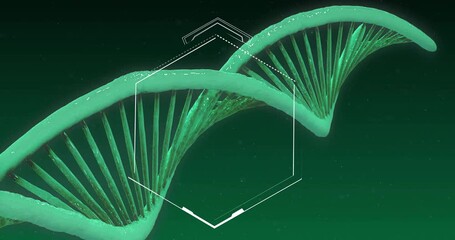 Sticker - DNA strand and hexagonal shapes, scientific data processing animation