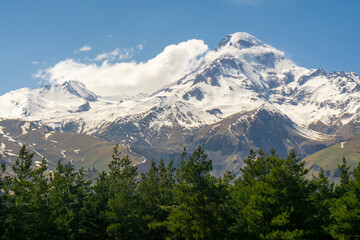 Sticker - Snow capped mountain Mkinvartsveri Kazbek. Blue sky with clouds. Coniferous trees in the foreground