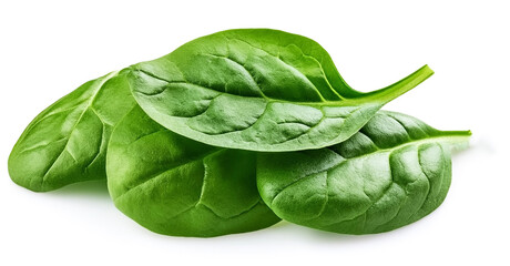 fresh green baby spinach leaves, isolated on white background