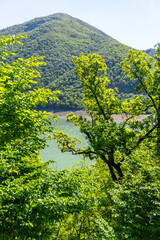 Sticker - Zhinvali water reservoir on the Aragvi River through the leaves of the trees. Green grass, blue sky, mountains in the background