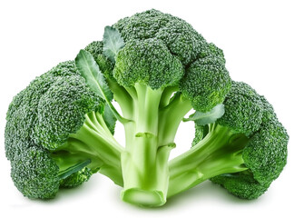 Wall Mural - Green fresh vegetable broccoli. Fresh green broccoli