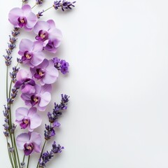 Wall Mural - Elegant floral arrangement with purple orchids on white background for botanical decor.