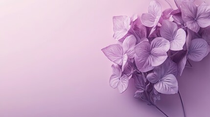 Canvas Print - A subtle and elegant background in a soft lavender hue, representing calm and love.