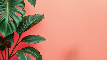 Wall Mural - Vibrant green leaves against a coral background.