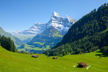 Alps Landscape Background