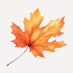 vibrant autumn maple leaf illustration