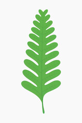 Canvas Print - Simple green leaf illustration