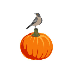 Sticker - vector drawing vegetable and bird, orange pumpkin and nothern mockinbird, thanksgiving day element isolated at white background, hand drawn illustration