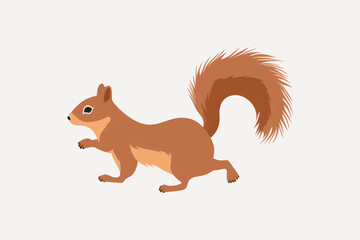 Sticker - Cute cartoon squirrel illustration