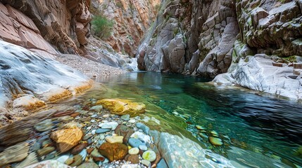 Wall Mural - A river flows through a rocky canyon.