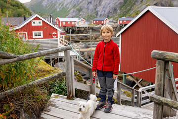 Typical Rourbuer fishing cabins in Lofoten Nusfjord village on a rainy day, summertime. Traditional norwegian red house