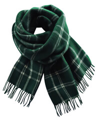 Elegant green plaid scarf with fringe detailing, perfect for adding warmth and style to any fall or winter outfit.