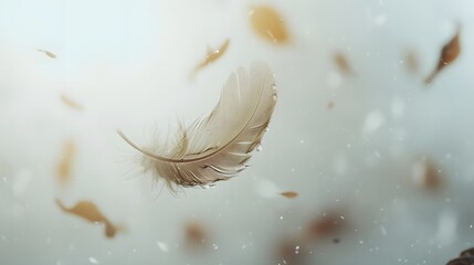 Poster - Concept of a falling feather in slow motion with minimalistic elements  AI generated illustration