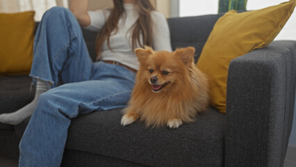 Sticker - A young woman relaxes with her pomeranian dog on a sofa in a cozy living room setting.