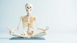 © IYearDesign - Skeleton in a yoga pose with a spotlight on weakened bones, highlighting the impact of osteoporosis on wellness