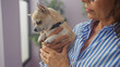 © Krakenimages.com - A middle-aged woman tenderly holding her pet chihuahua indoors at home, evoking warmth and companionship in a domestic setting.