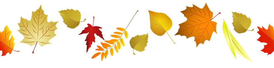 Wall Mural - Autumn yellow leaves border seamless. Vector illustration