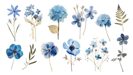 Poster - Pressed blue flowers png cut out set