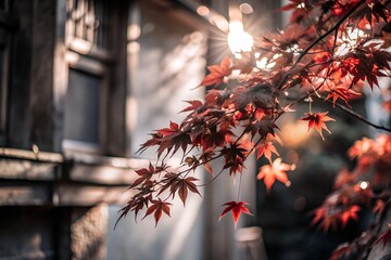 Wall Mural - Red Leaves in Soft Light