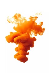 Poster - Abstract orange cloud vector, isolated on white. Abstract banner paint. Holi. Liquid ink