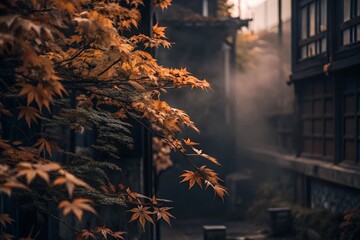 Wall Mural - Orange Leaves in Foggy Corner