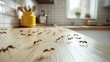 © Екатерина Чумаченко - Ants crawling on a kitchen counter looking for food