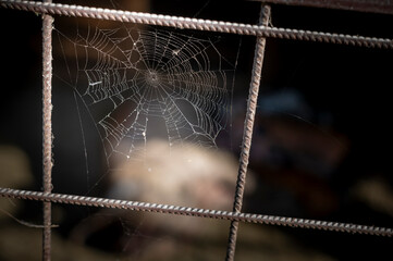 A close-up photo of a spider web stretched between the bars of a metal fence. The image highlights the natural beauty and delicate nature of the spider web, even in an industrial or rural setting.