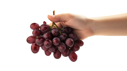 Wall Mural - Hand holding cluster of ripe grapes isolated on transparent background
