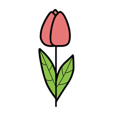 Wall Mural - tulip flower illustration