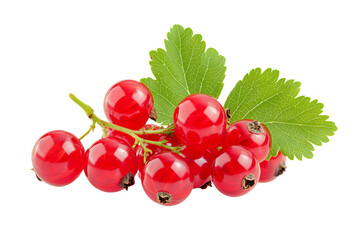 Red currants with leaves isolated on a transparent background