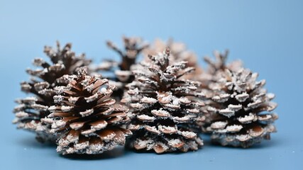 Sticker - Christmas decoration pine cones close up