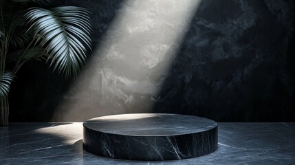 A modern, round marble pedestal illuminated by soft light, set against a dark textured wall and a lush green plant, creating a serene ambiance.