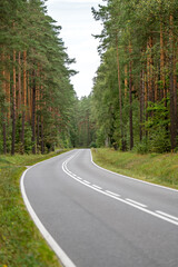 Wall Mural - An asphalt road going through a forest in Masuria