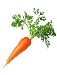 Wall Mural - fresh carrot with greens isolated on transparent background