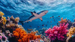 © XtravaganT - Shark Swimming Over Vibrant Coral Reef