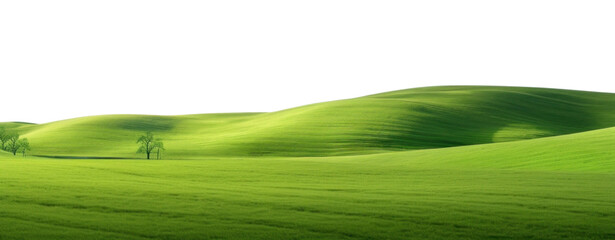 Poster - PNG Foliage landscape grass field.