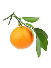 Wall Mural - ripe orange with green leaves isolated on transparent background