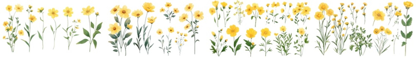 Sticker - An assortment of rue elements, with bright yellow flowers, bluish-green leaves and a pungent aroma.