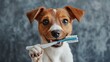 © anna - cute puppy with a toothbrush