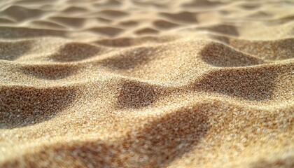 Canvas Print - Close-Up Texture of Rippled Sand Grains