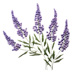 Sticker - PNG  Lavender in embroidery style flower plant herbs.