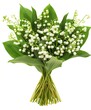 © IULIIA - A bouquet of lily-of-the-valley, against a white background, in a clip art style, with high resolution and high detail