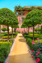 The yellow park path runs along beautifully trimmed orange trees, green bushes, and colorful flowers