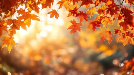 Wall Mural - Autumn background with orange fall leaves. Garden scene on fall season with bright shiny sun ray and maple tree