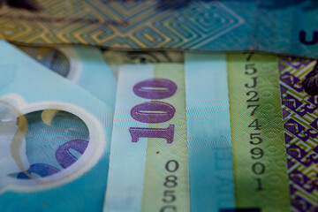 LEI money banknotes, detail photo of RON