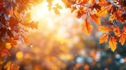 Wall Mural - Autumn background with orange fall leaves. Garden scene on fall season with bright shiny sun ray and maple tree