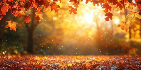 Wall Mural - Autumn background with orange fall leaves. Garden scene on fall season with bright shiny sun ray and maple tree