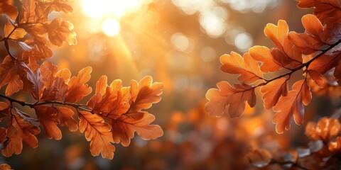 Wall Mural - Autumn background with orange fall leaves. Garden scene on fall season with bright shiny sun ray and maple tree