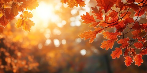 Wall Mural - Autumn background with orange fall leaves. Garden scene on fall season with bright shiny sun ray and maple tree